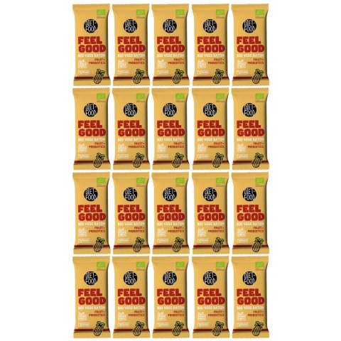 20 x Bio Vegan Bar FEEL GOOD - fruit with prebiotics 35 g