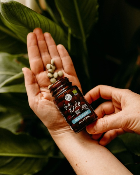 Bio Kelp Algi Morskie 41 g - 120 tabl.