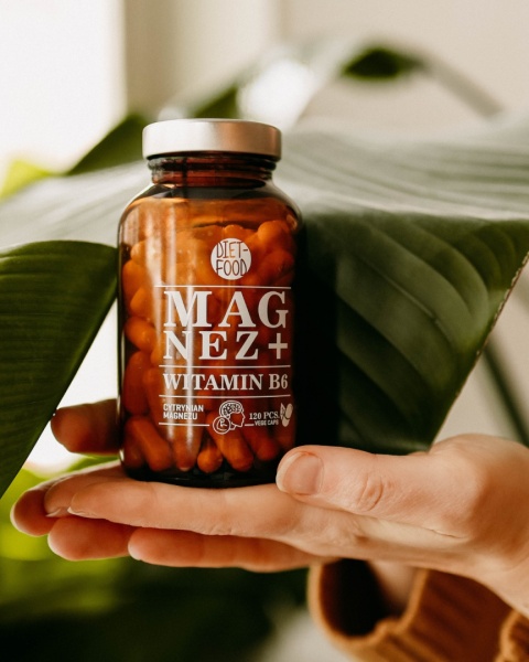 Magnesium + Vitamin B6 120 caps. 100g